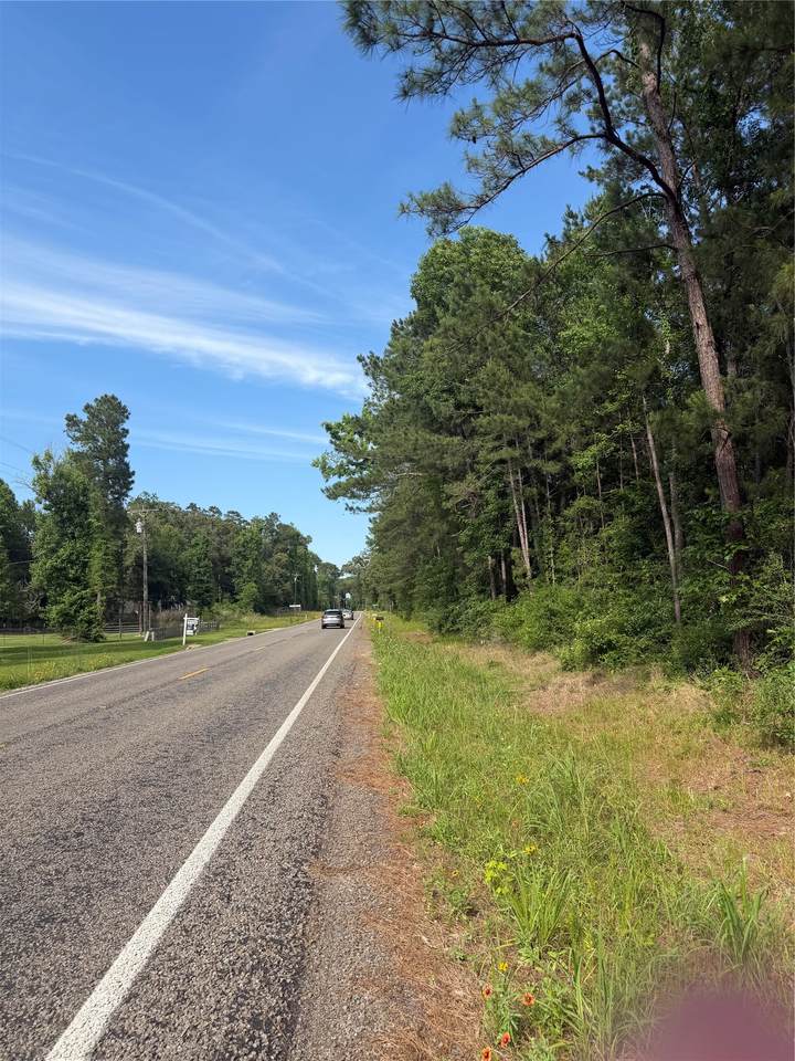 TBD Fm 1127 Road - Photo 1