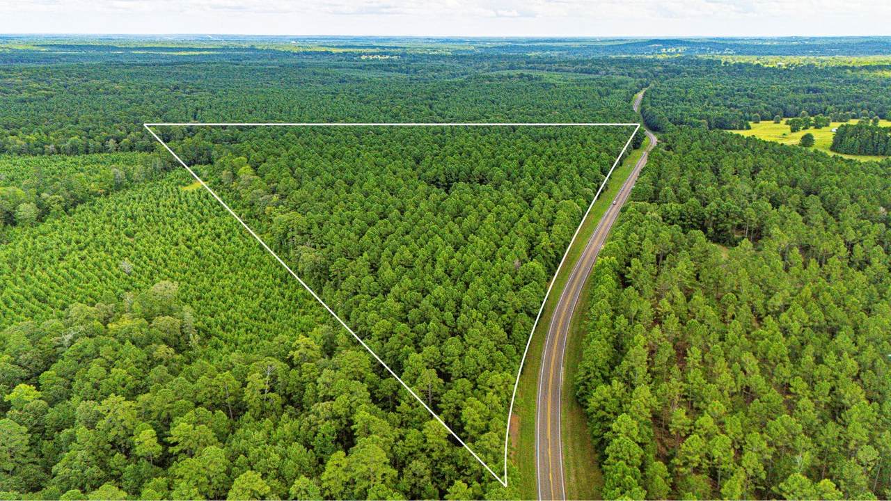 TBD Fm-229 - Photo 1