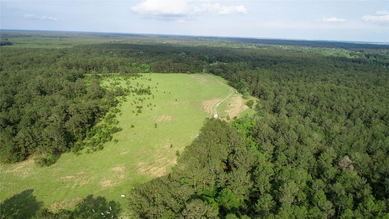 0000 Old Beaumont Road - Photo 1
