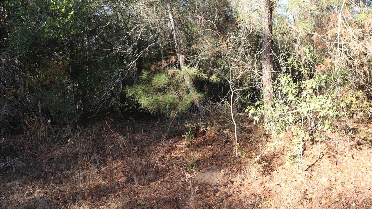 0 Pin Tail Drive - Photo 1