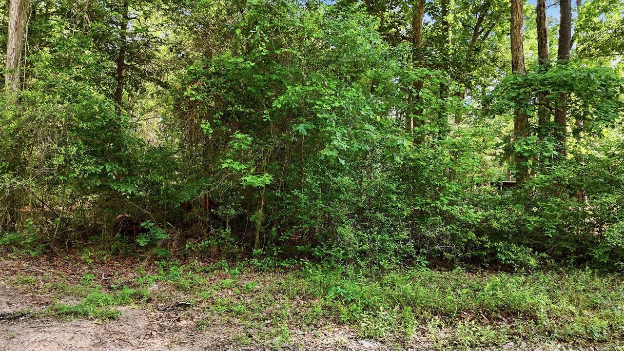 164 Road 2699 - Photo 1