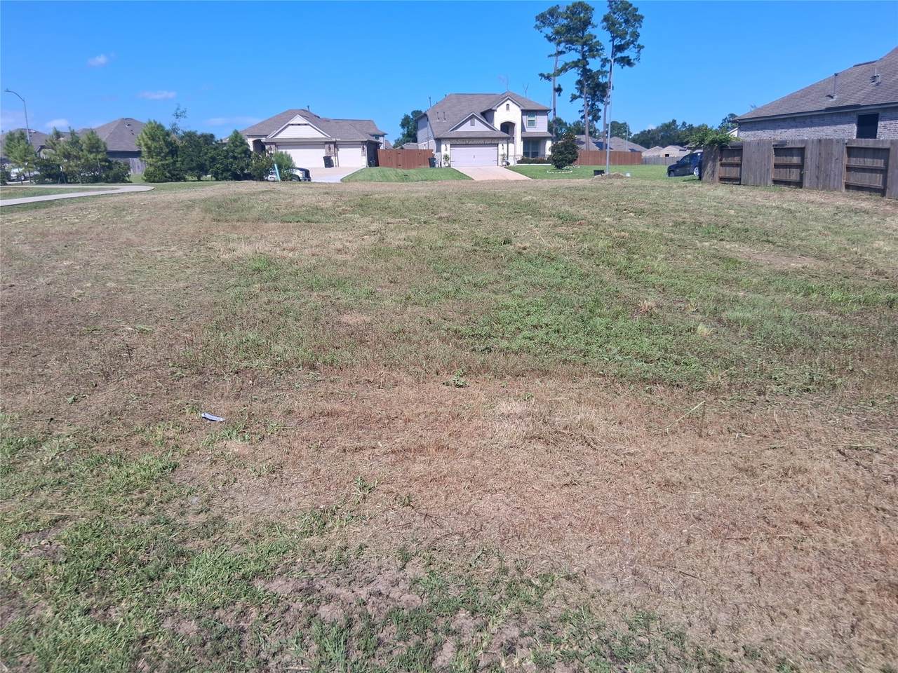 16007 Dockside Street - Photo 1