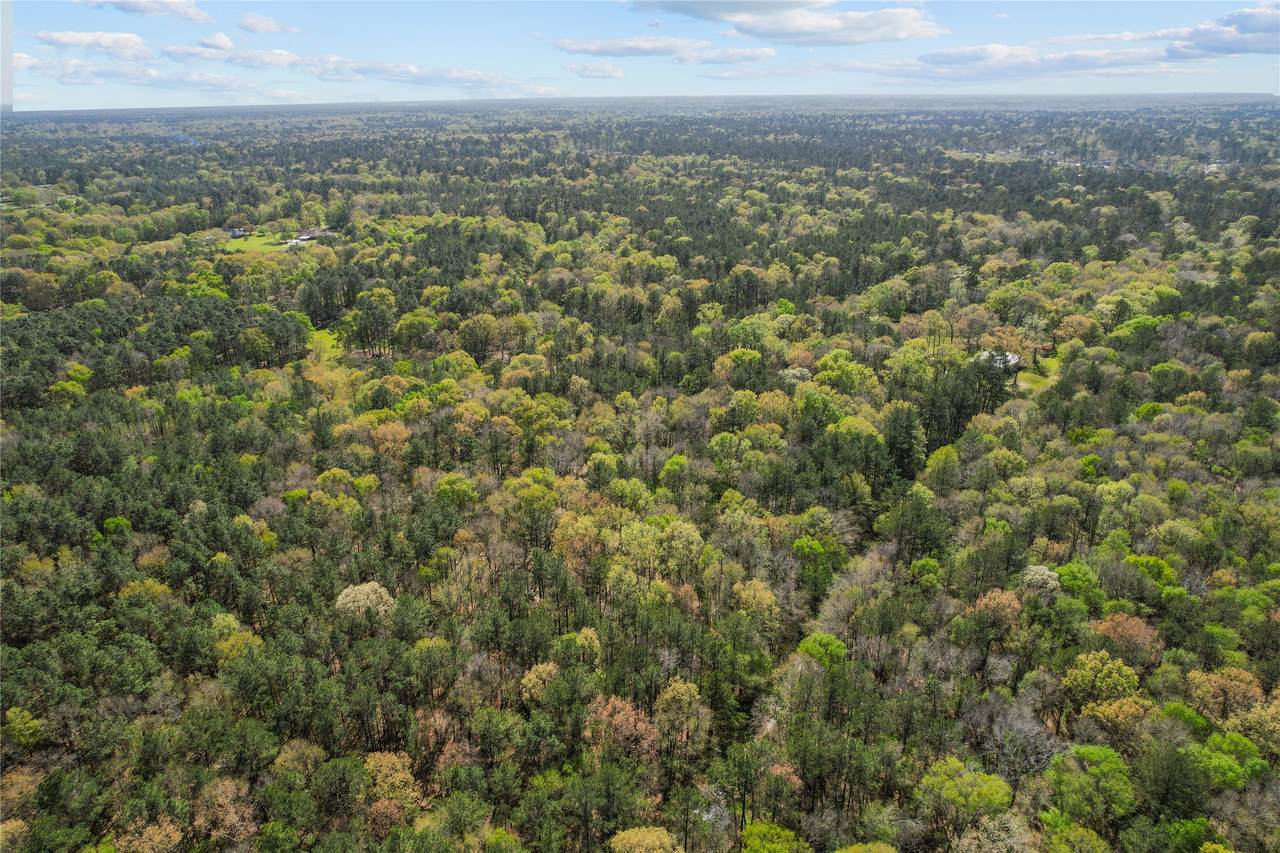 TBD Green Leaf - Photo 1