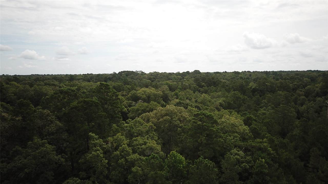 https://bt-photos.global.ssl.fastly.net/harmls/1280_boomver_1_45516401-2.jpg