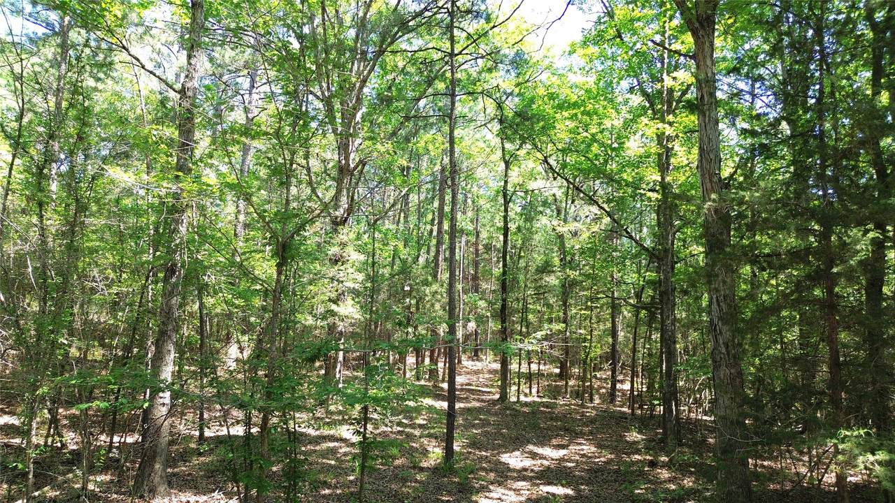 TBD Cr 4720 - Photo 1