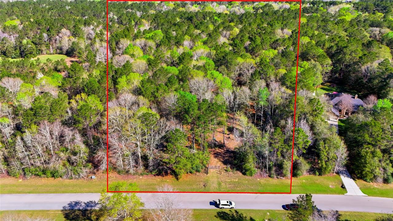 21223 Peach Wood - Photo 1