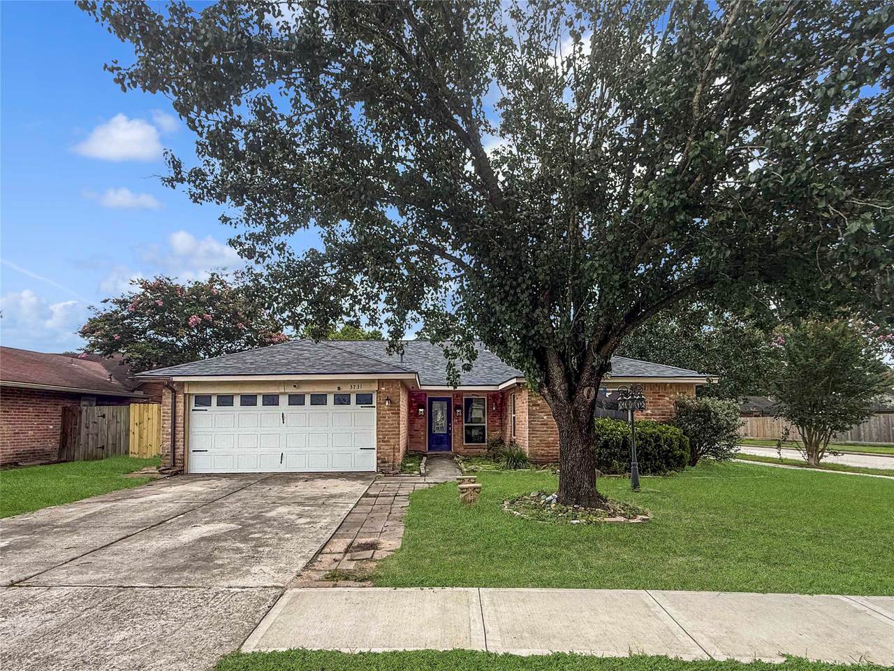 3731 Nutwood Lane - Photo 1