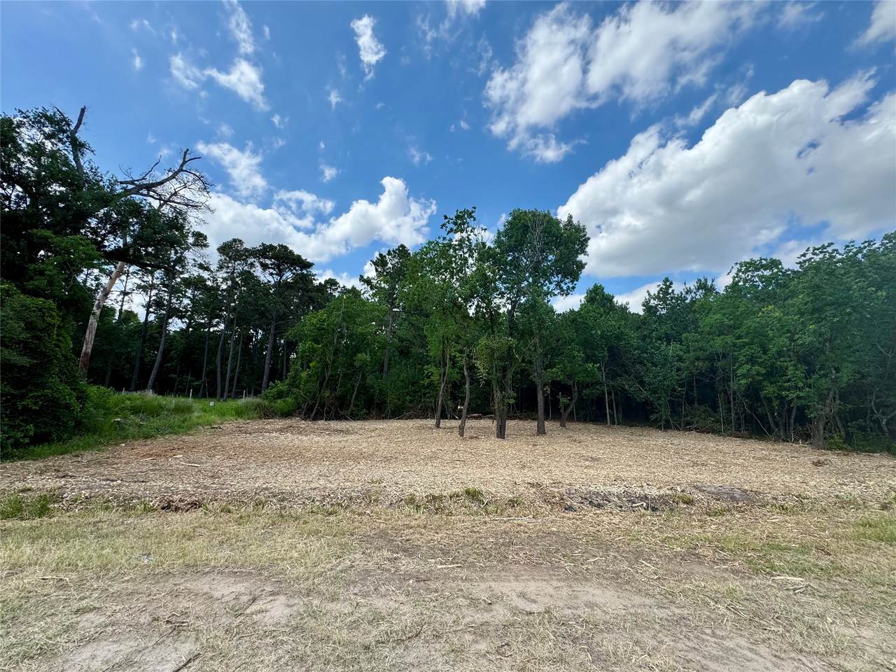 0 Hardy 31B Road - Photo 1