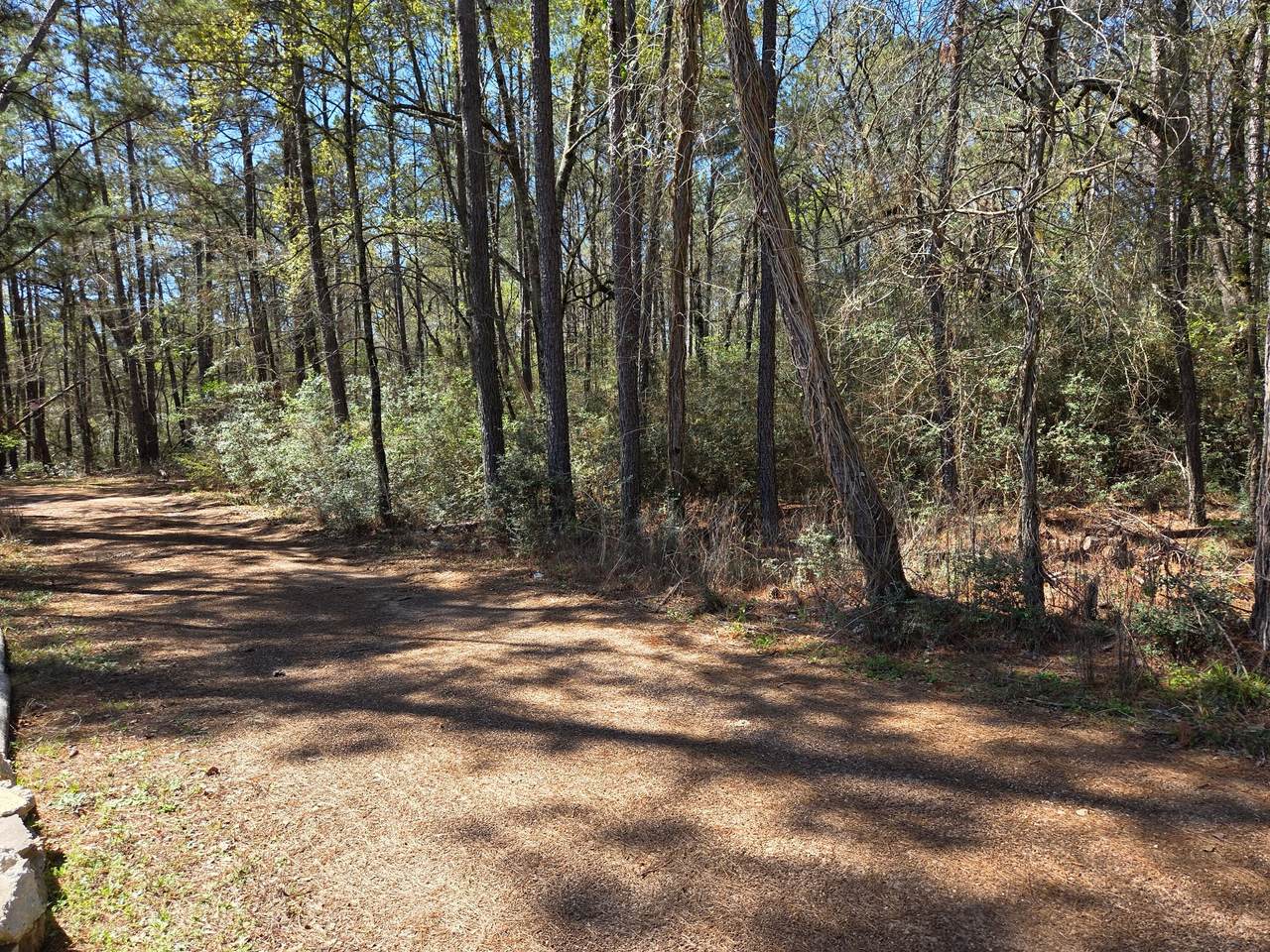 lot 19 Hackberry Drive - Photo 1