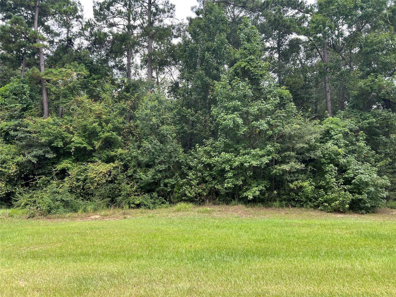 TBD Lure Lane - Photo 1