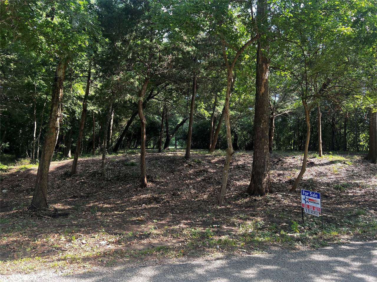 00 Chadwick Hogan Road - Photo 1