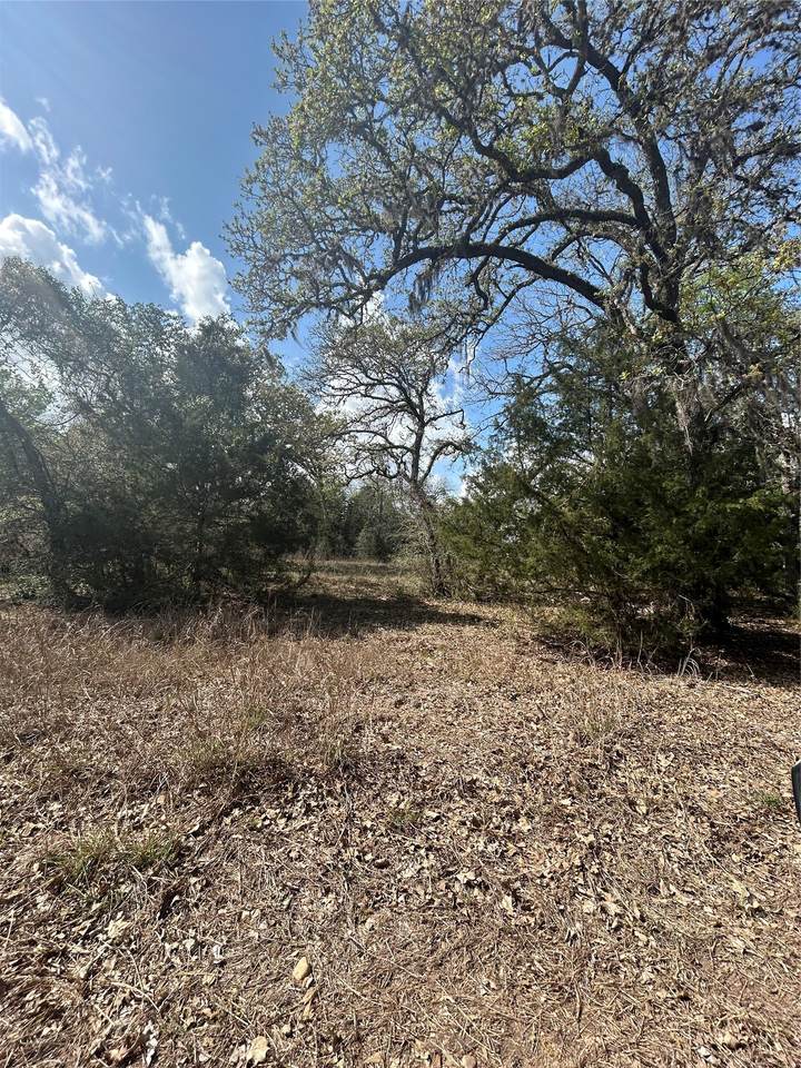 3060 Brunes Mill Road - Photo 1