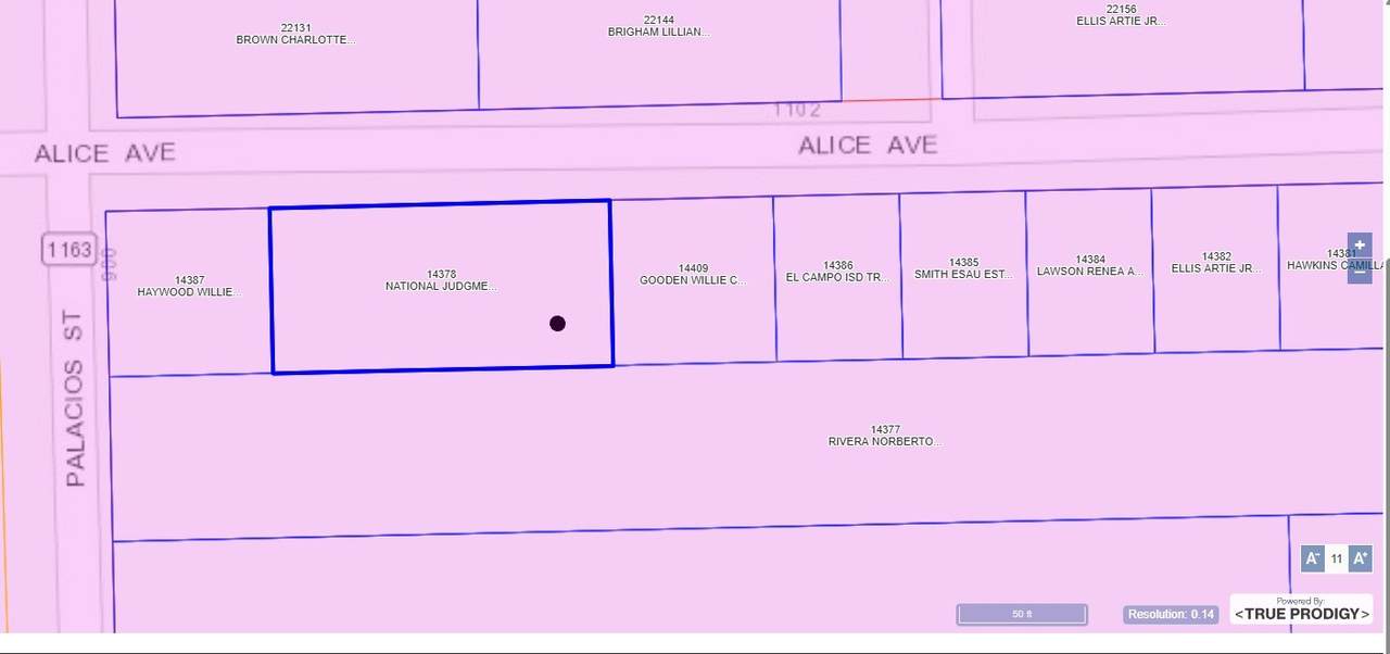 1103 Alice Avenue - Photo 1