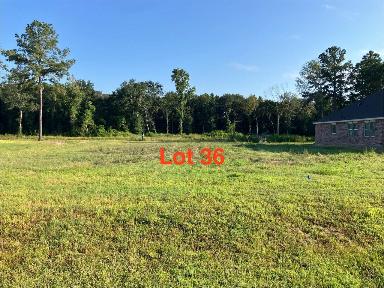 970 Tarkington Timbers Drive - Photo 1