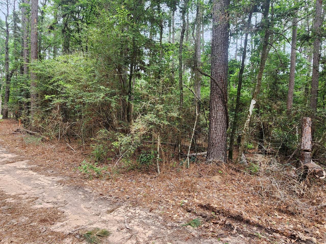 277 Long King - Photo 1