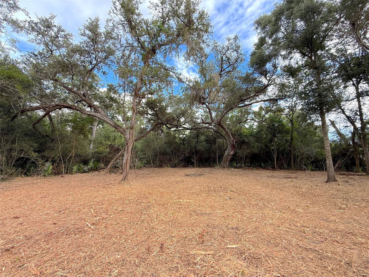 Lot 12A2 Cr 345 - Photo 1