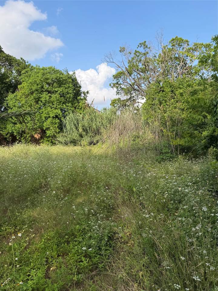 2010 Brackenridge Lot B Street - Photo 1
