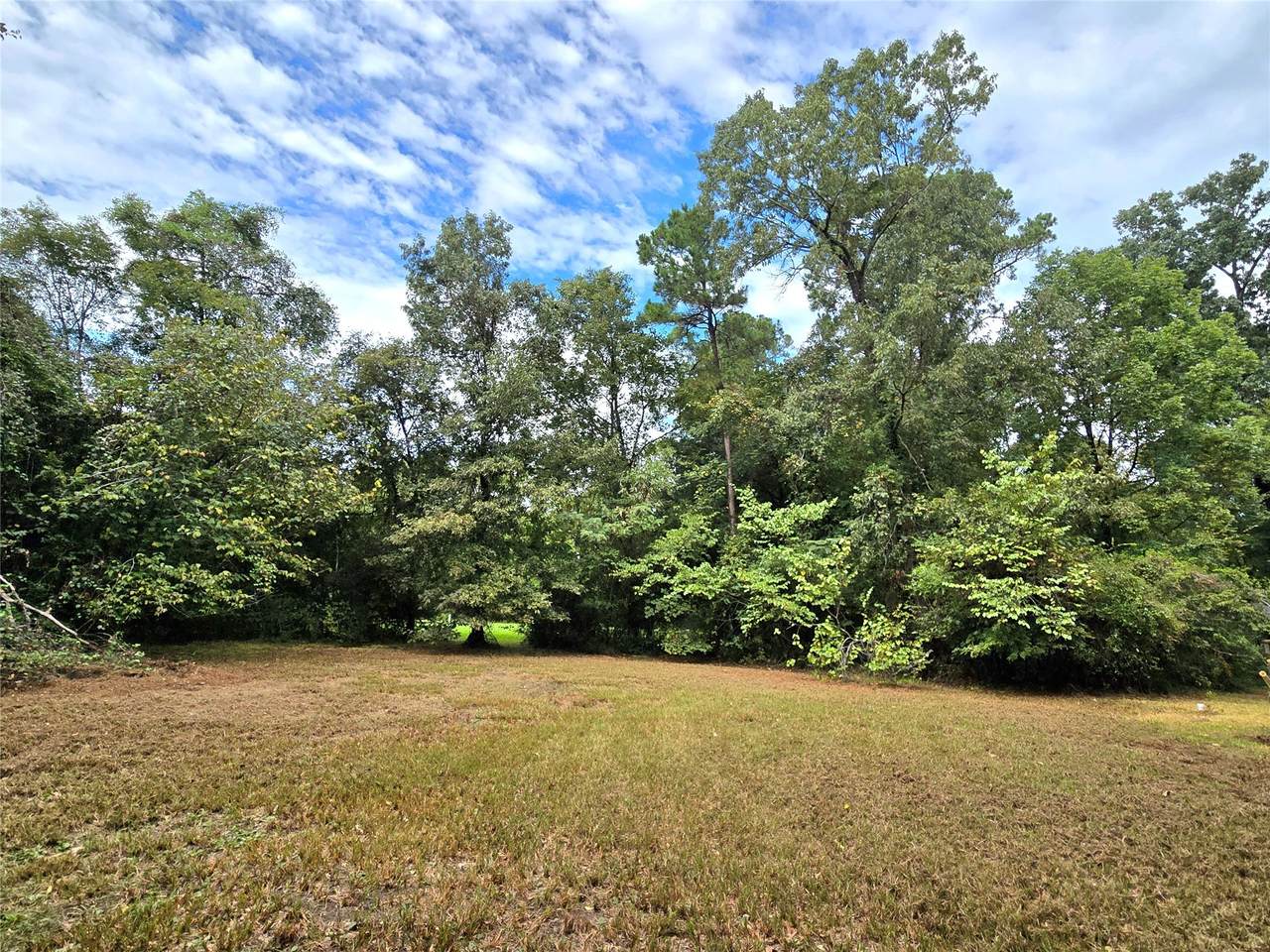 81 Bishop Road - Photo 1