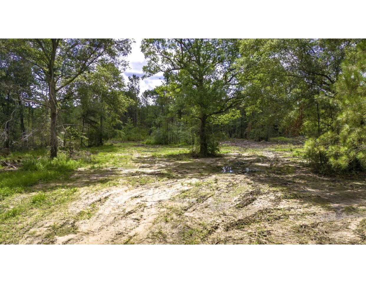 TBD Lot 003 Holland Road - Photo 1