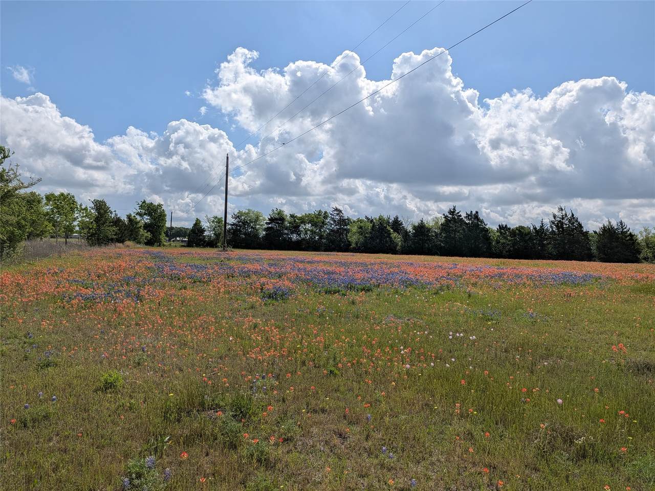 https://bt-photos.global.ssl.fastly.net/harmls/1280_boomver_1_48854072-2.jpg