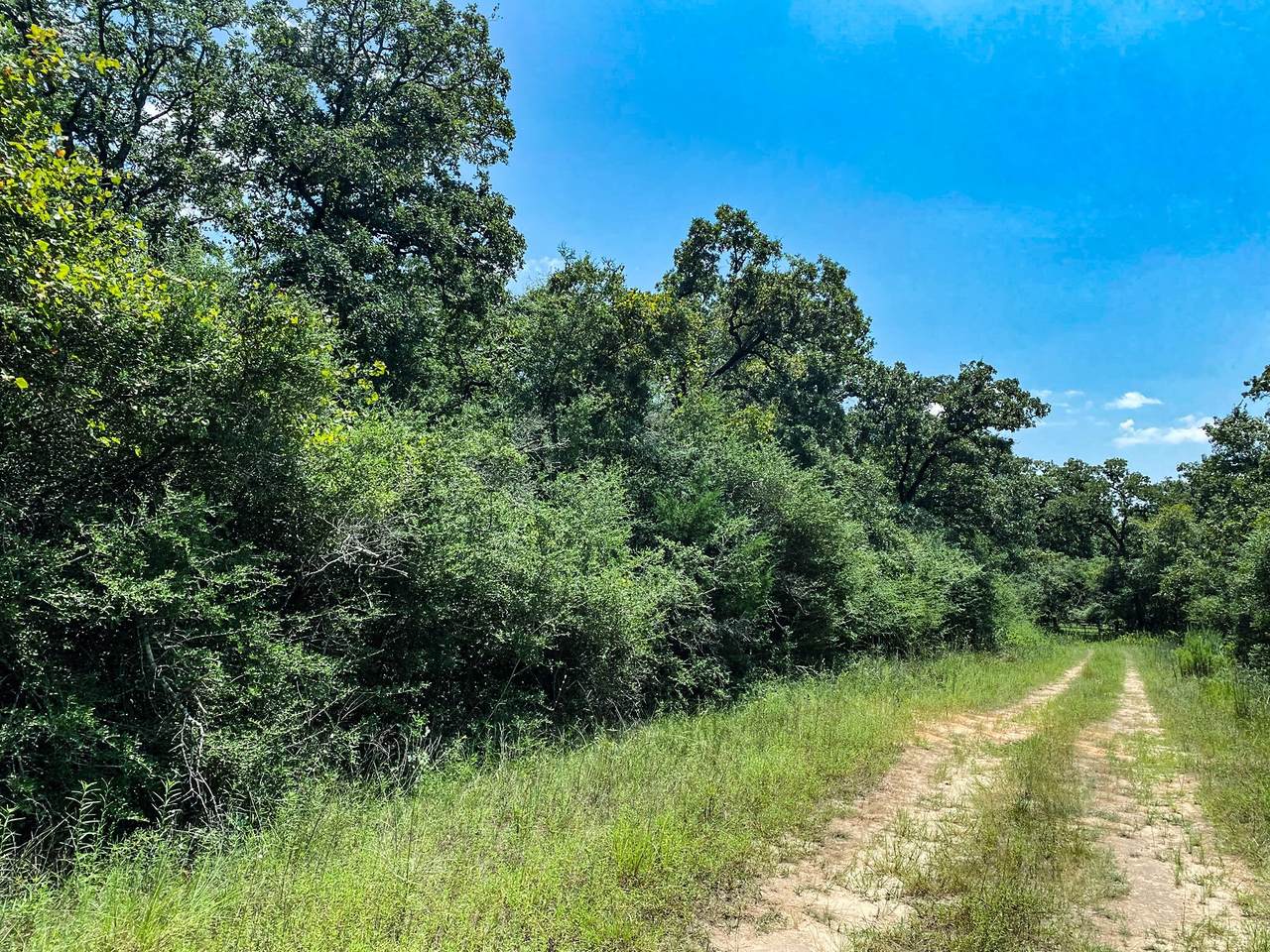 Lot 10 Ranch Road Dr Drive - Photo 1
