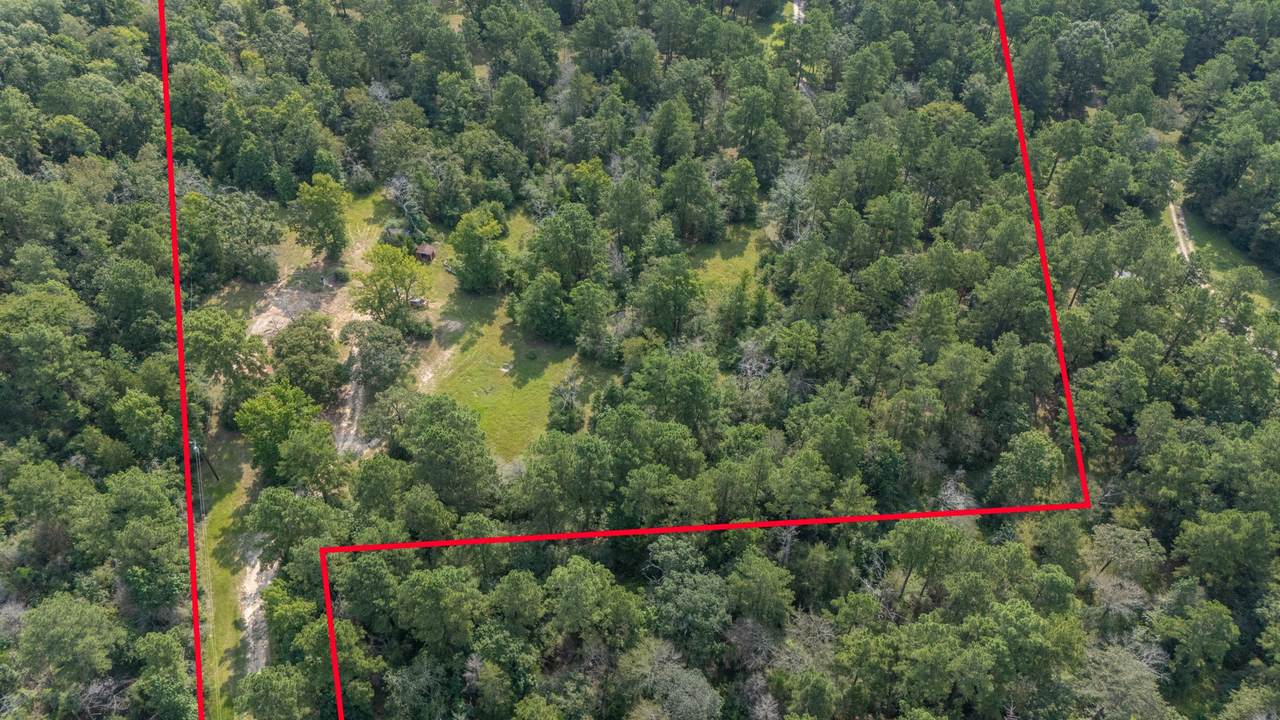 12274 Ike White Road - Photo 1