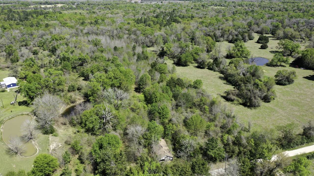 9779 Newport Lane - Photo 1