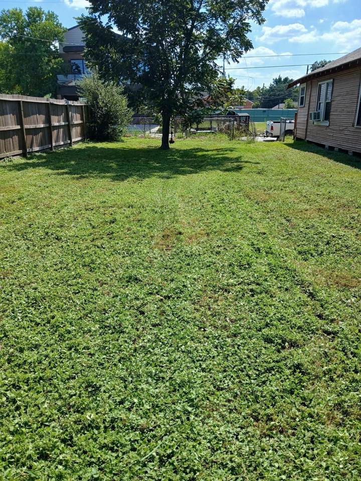 3435 Anita Street - Photo 1