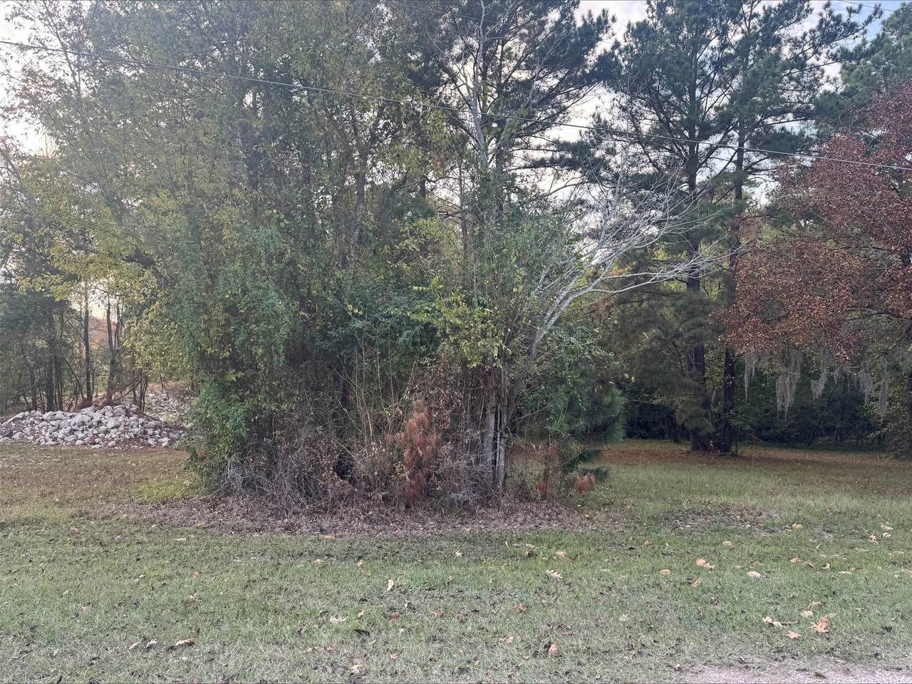 0 Silver Hickory Drive - Photo 1