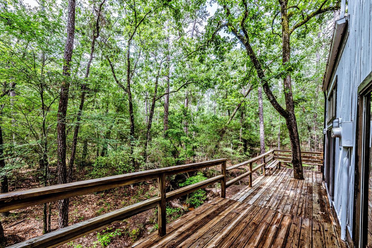 24509 Park Forrest Lane - Photo 1