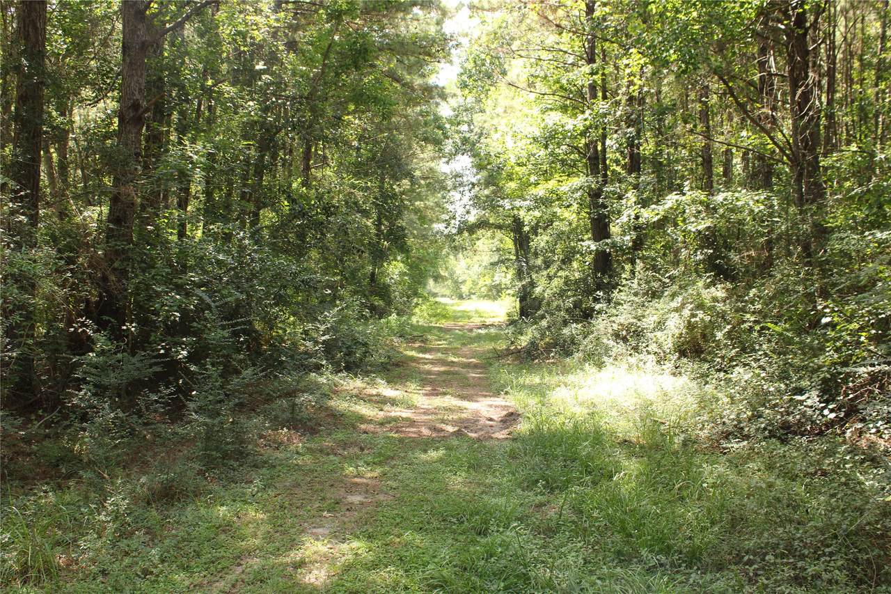 TBD 10th Street - Photo 1