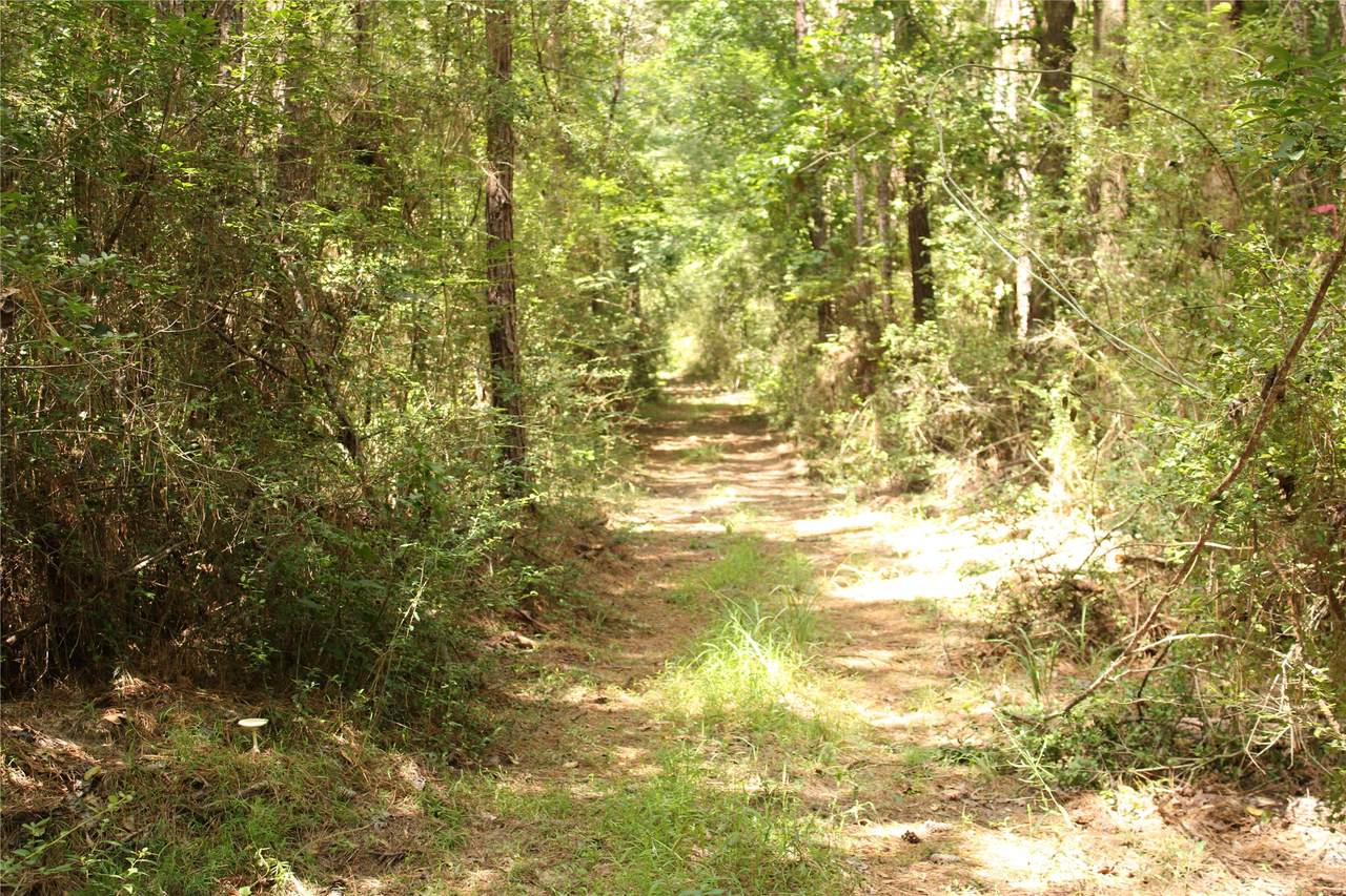 https://bt-photos.global.ssl.fastly.net/harmls/orig_boomver_1_51585152-2.jpg