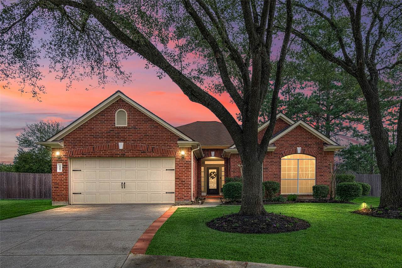 10407 Roman Hills Court - Photo 1