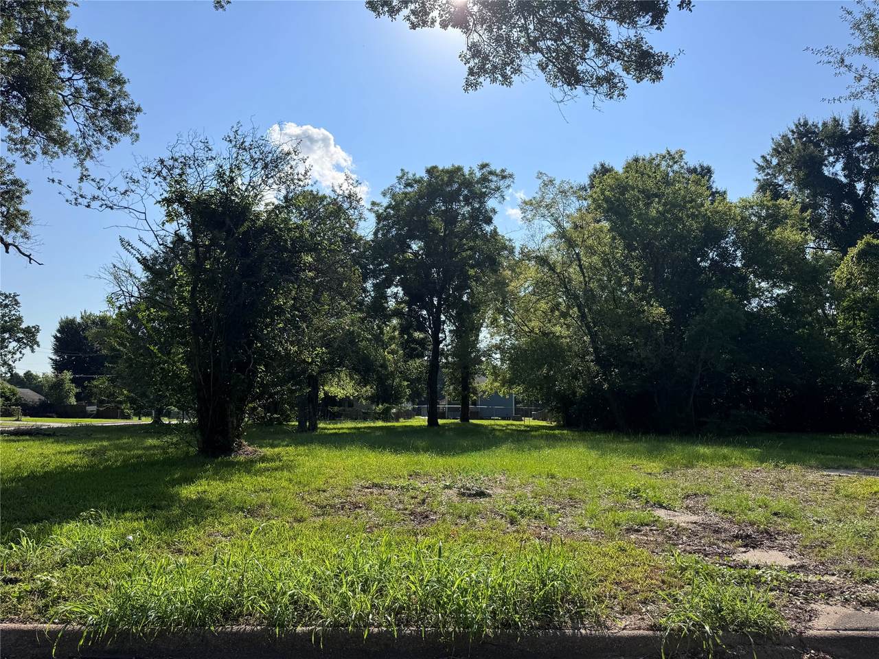 2335 Pear Street - Photo 1