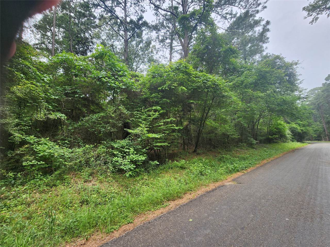 207 Long King - Photo 1
