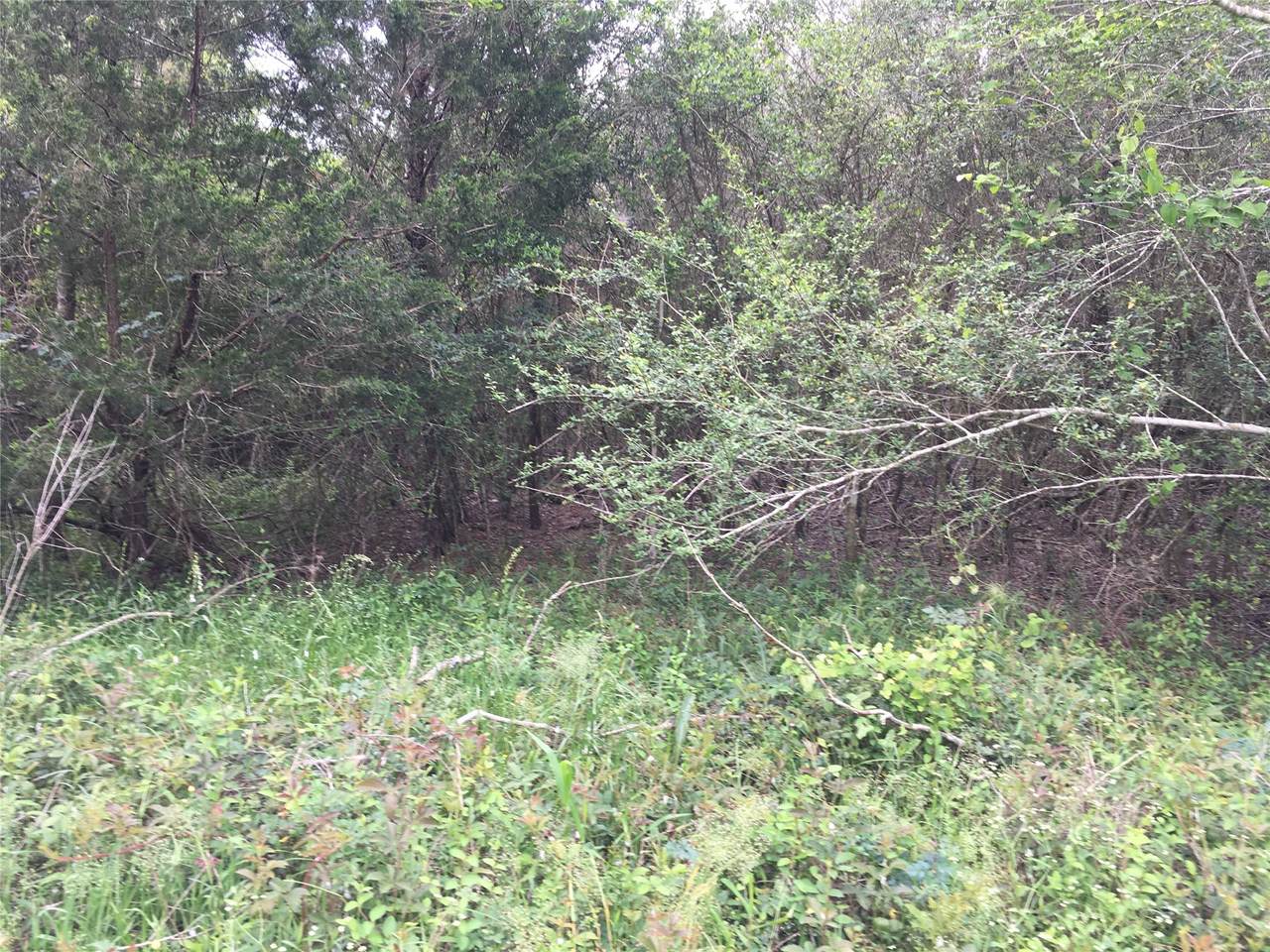 https://bt-photos.global.ssl.fastly.net/harmls/1280_boomver_1_52041260-2.jpg