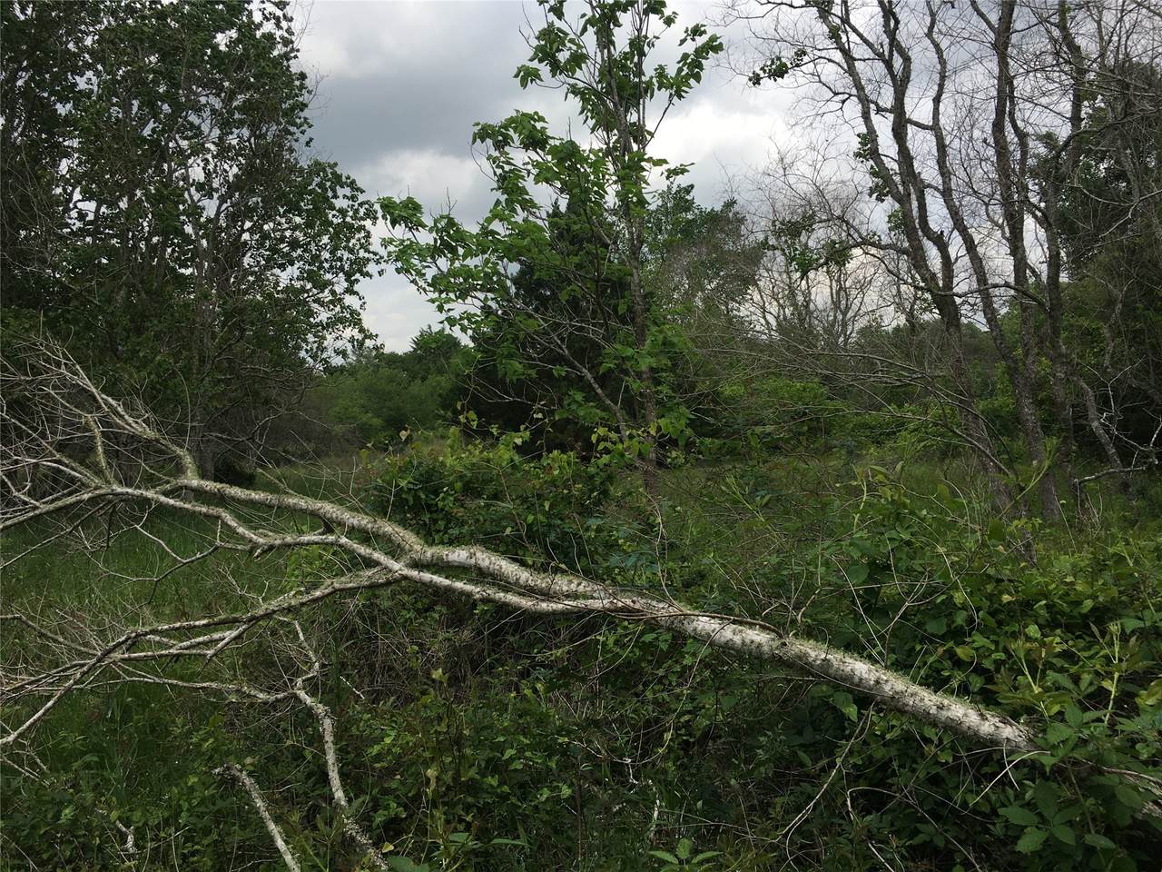 https://bt-photos.global.ssl.fastly.net/harmls/1280_boomver_1_52041260-2.jpg