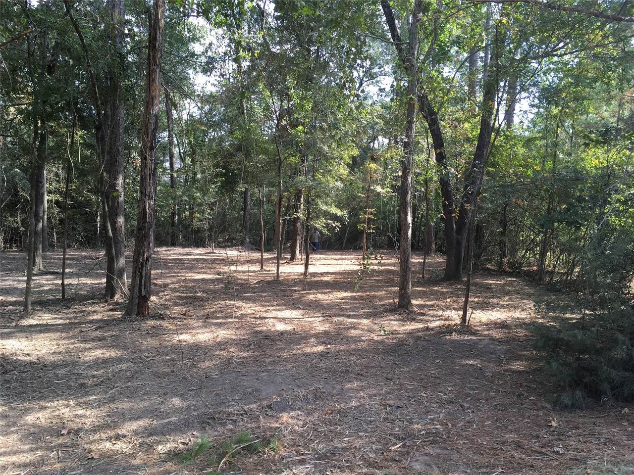1930 Autumn Ridge Drive Drive - Photo 1