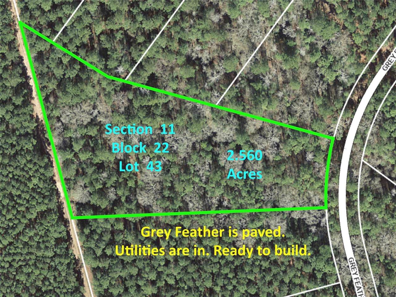 215 Grey Feather Road - Photo 1