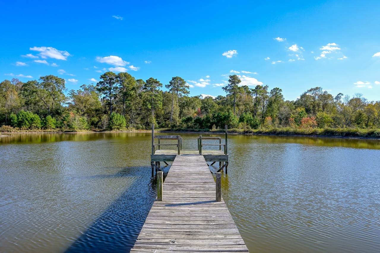 125 ACRES Spring Branch Road - Photo 1