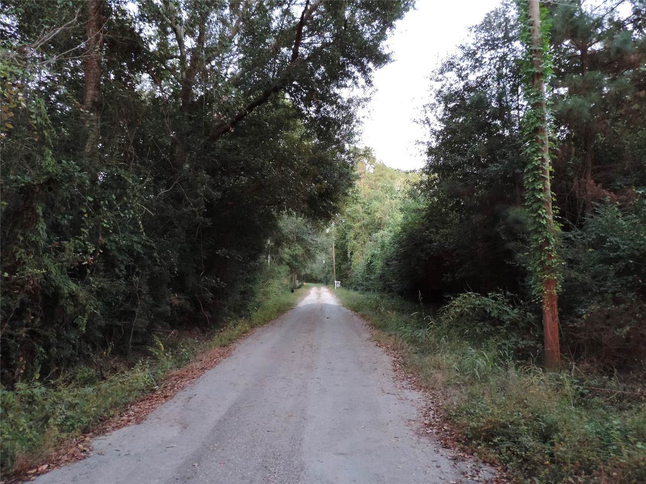 TBD Martin Luther King Drive - Photo 1