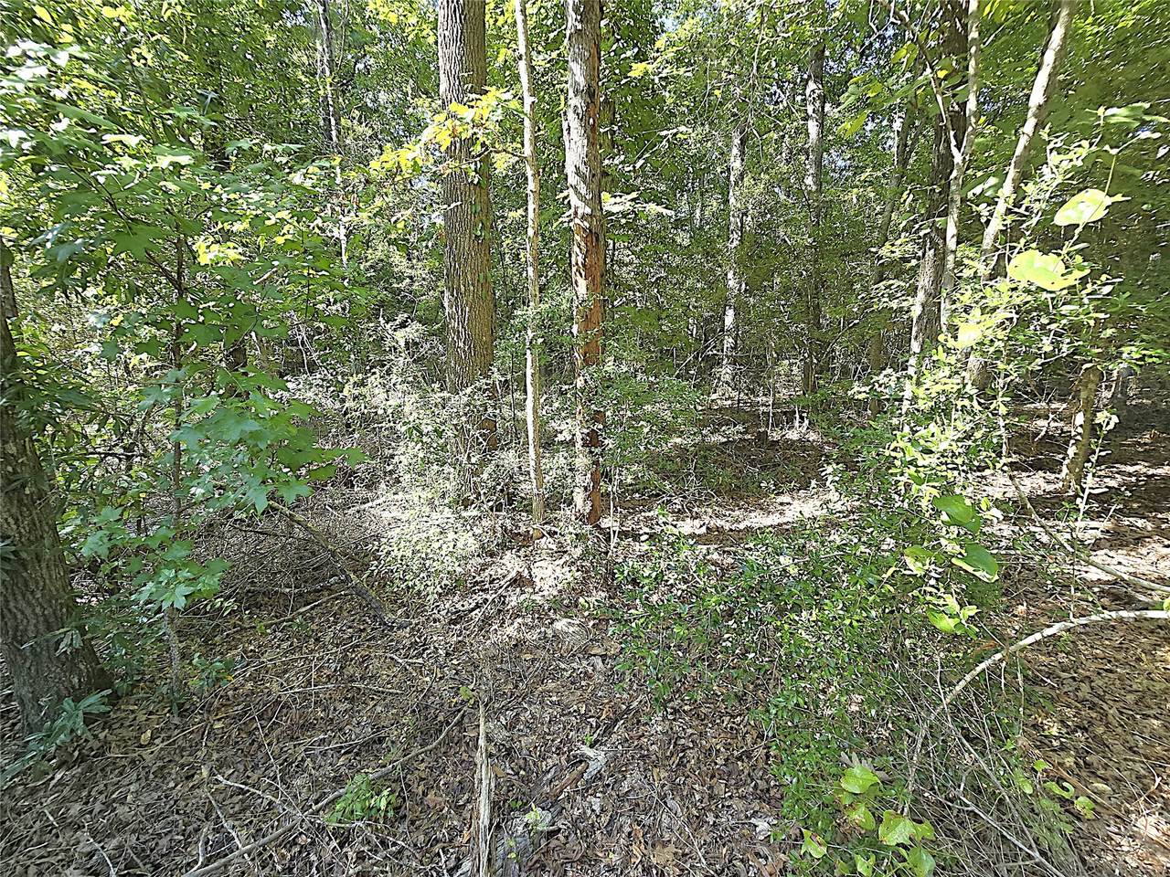 TBD Rugeley Trail - Photo 1