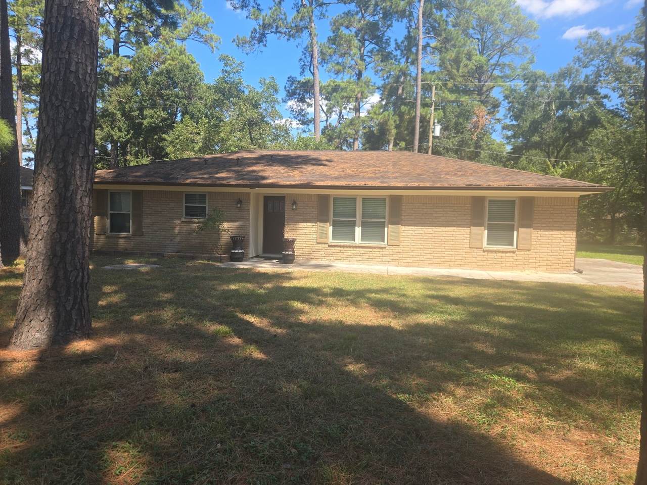 21414 Ruthann Drive - Photo 1