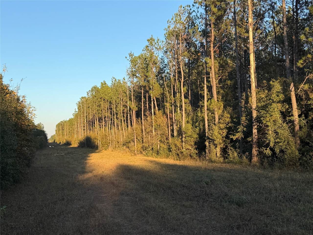 Lot 39 Carter Ranch Road - Photo 1