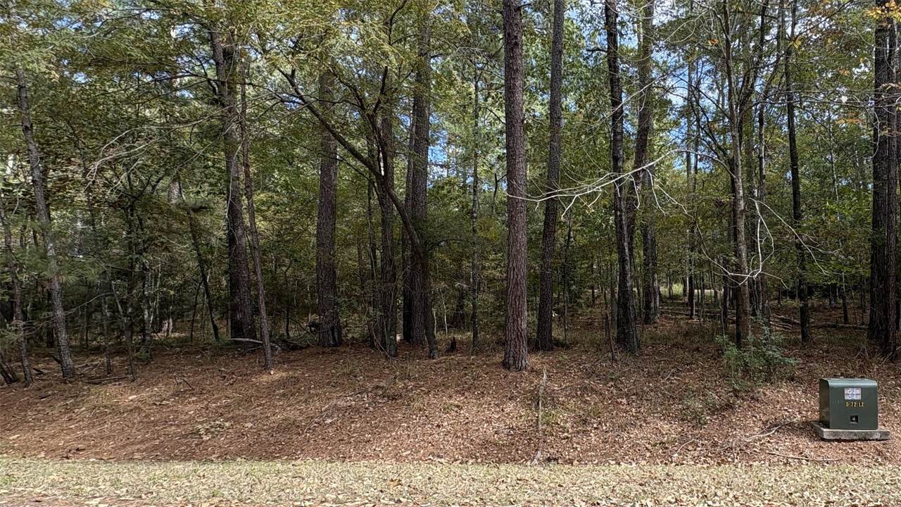 103 Green Tree Drive - Photo 1