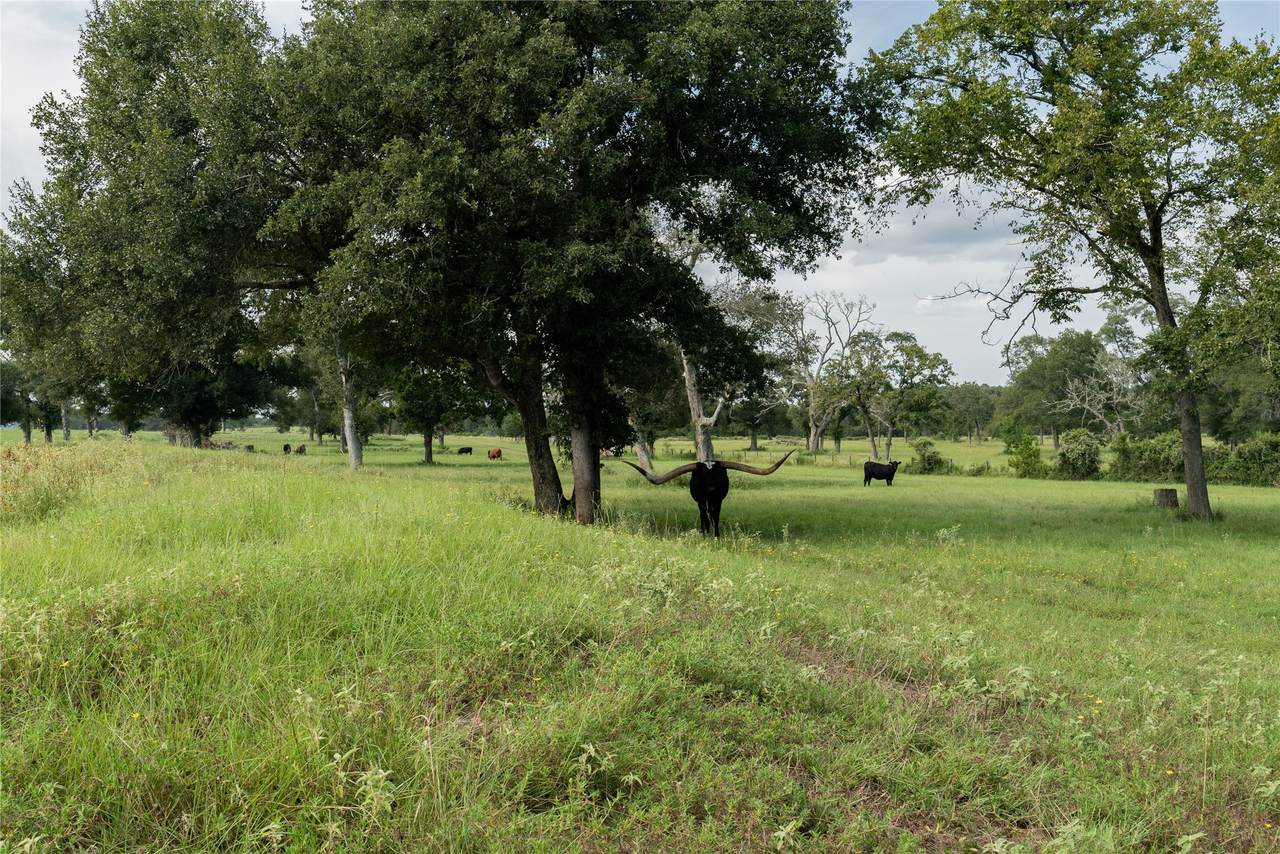 000 Aztec Lane - Photo 1