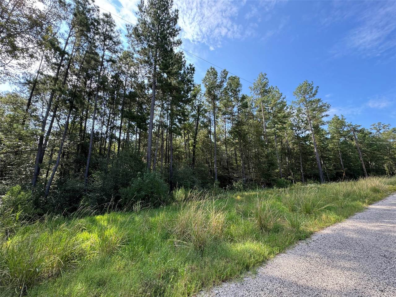 59-6-2 Stagecoach Circle - Photo 1