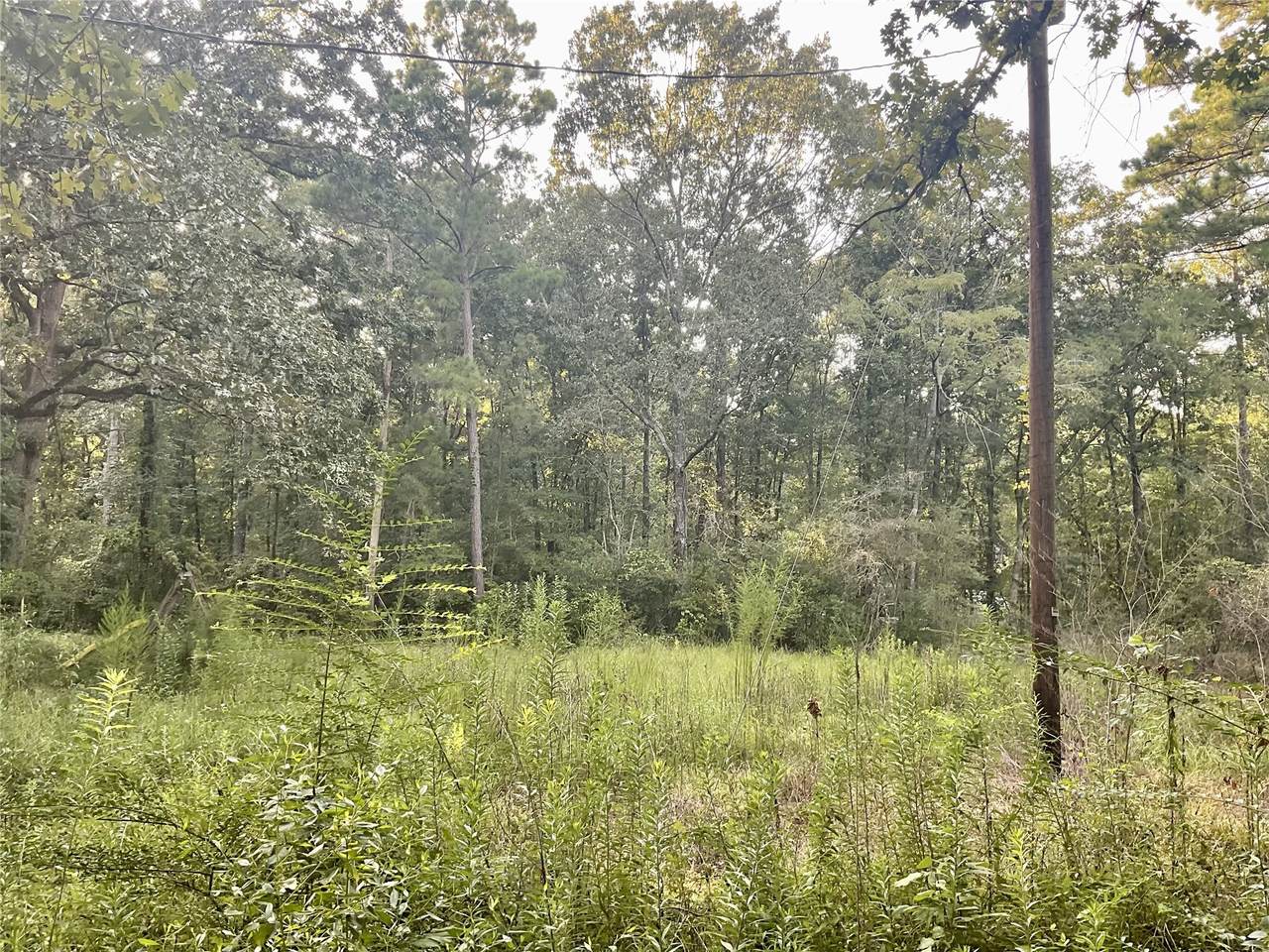 3508 Gilliland Creek Road - Photo 1