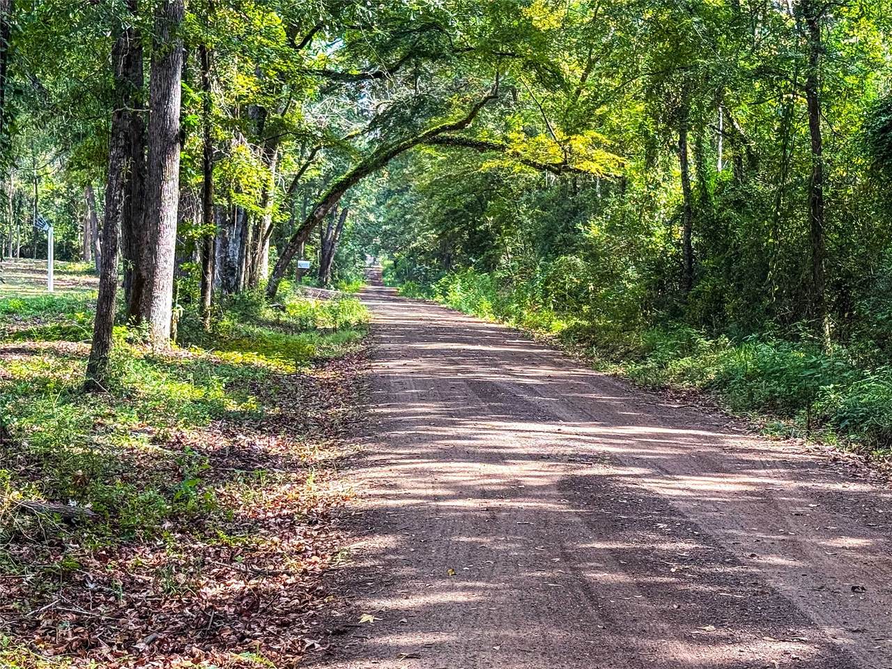 000 County Road 4111 - Photo 1