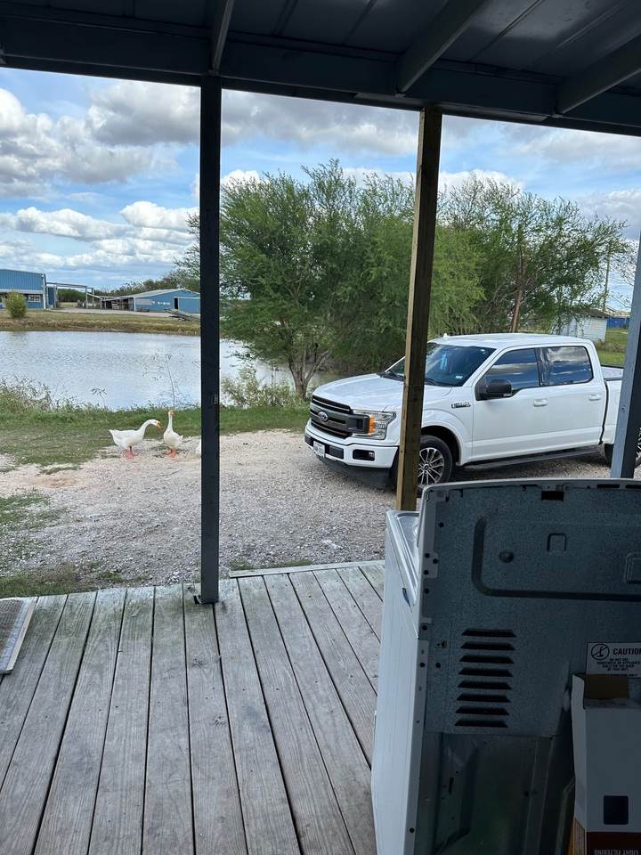 2134 Fm 1875 - Photo 1